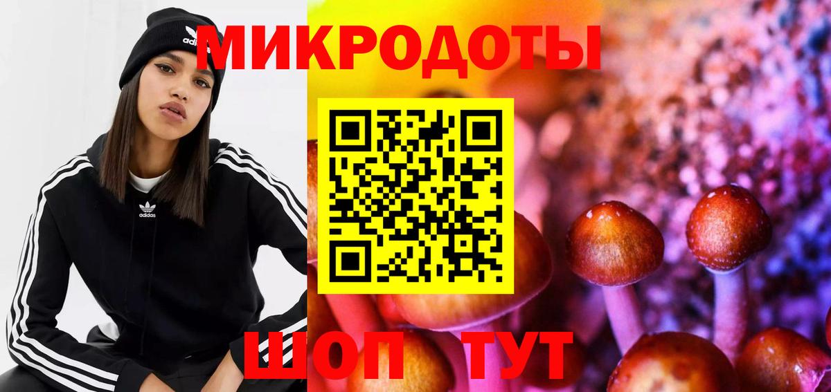 Псилоцибиновые грибы Psilocybe  Вход с VPN  Рыбинск  купить наркотик  Псилоцибиновые грибы мицелий 